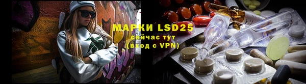 ГАЛЛЮЦИНОГЕННЫЕ ГРИБЫ Аркадак
