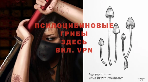 ГАЛЛЮЦИНОГЕННЫЕ ГРИБЫ Аркадак