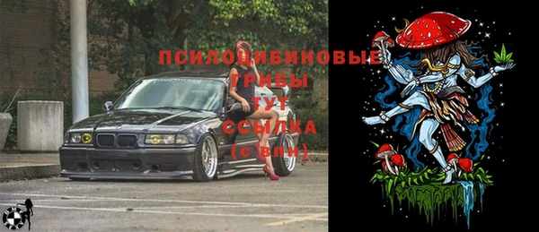 ГАЛЛЮЦИНОГЕННЫЕ ГРИБЫ Аркадак