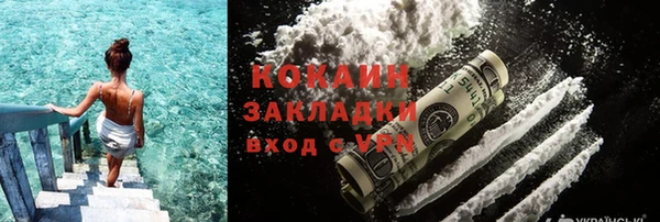 прущие грибы Армянск