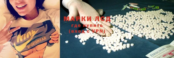прущие грибы Армянск